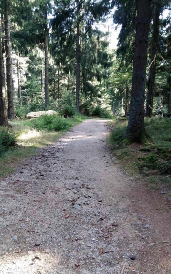 Bergerlebnis Natur Pur Sankt Englmar Eksteriør billede